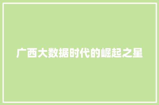 广西大数据时代的崛起之星  第1张