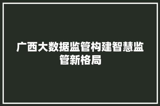 广西大数据监管构建智慧监管新格局  第1张