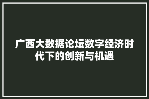 广西大数据论坛数字经济时代下的创新与机遇  第1张