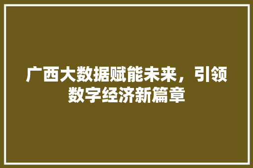 广西大数据赋能未来，引领数字经济新篇章  第1张