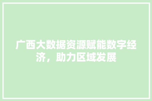 广西大数据资源赋能数字经济，助力区域发展  第1张