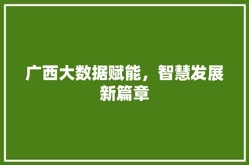 广西大数据赋能，智慧发展新篇章  第1张