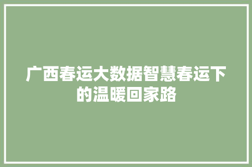 广西春运大数据智慧春运下的温暖回家路  第1张