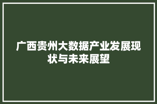 广西贵州大数据产业发展现状与未来展望
