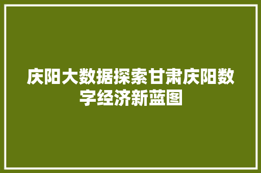 庆阳大数据探索甘肃庆阳数字经济新蓝图  第1张