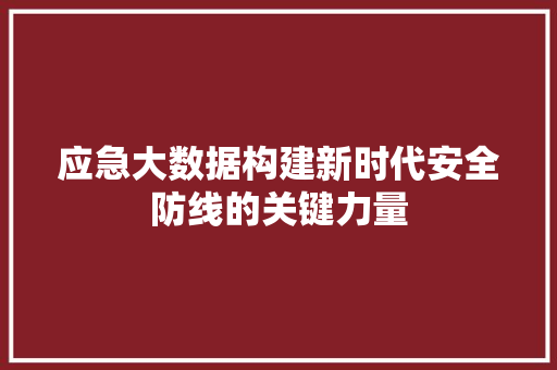 应急大数据构建新时代安全防线的关键力量