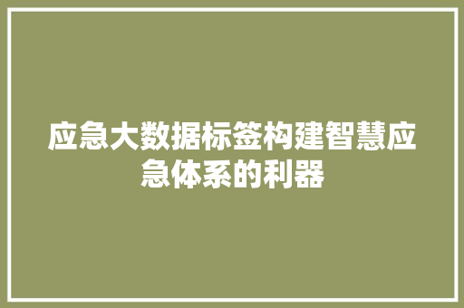 应急大数据标签构建智慧应急体系的利器