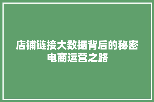 店铺链接大数据背后的秘密电商运营之路  第1张