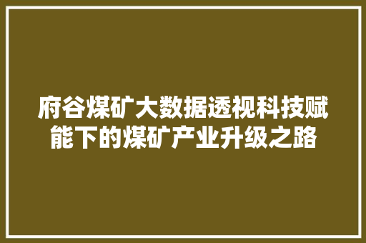 府谷煤矿大数据透视科技赋能下的煤矿产业升级之路  第1张