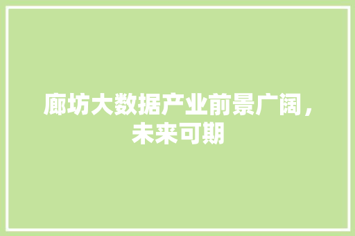 廊坊大数据产业前景广阔，未来可期  第1张