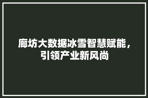 廊坊大数据冰雪智慧赋能，引领产业新风尚