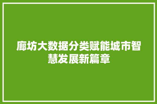 廊坊大数据分类赋能城市智慧发展新篇章