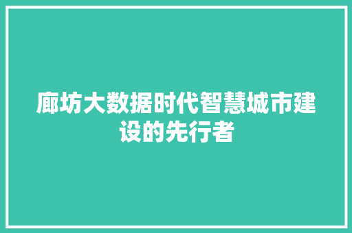 廊坊大数据时代智慧城市建设的先行者