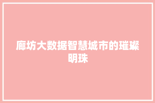 廊坊大数据智慧城市的璀璨明珠