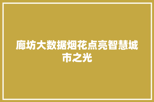 廊坊大数据烟花点亮智慧城市之光