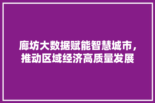 廊坊大数据赋能智慧城市，推动区域经济高质量发展