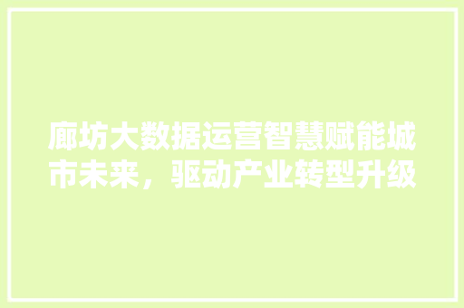 廊坊大数据运营智慧赋能城市未来，驱动产业转型升级