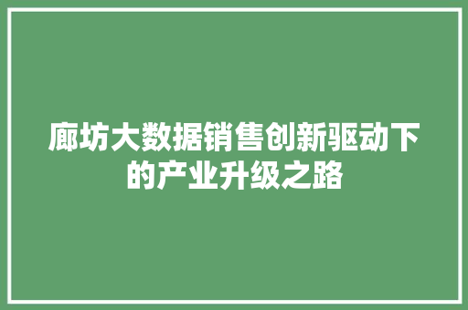 廊坊大数据销售创新驱动下的产业升级之路