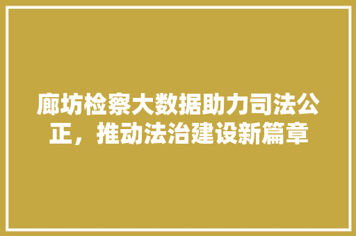 廊坊检察大数据助力司法公正，推动法治建设新篇章  第1张