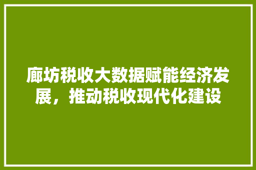 廊坊税收大数据赋能经济发展，推动税收现代化建设