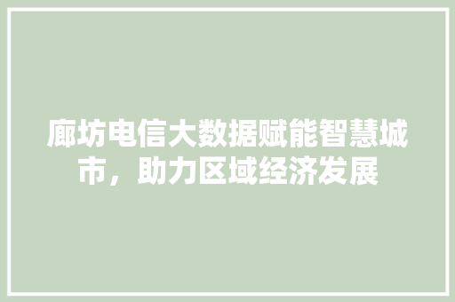 廊坊电信大数据赋能智慧城市，助力区域经济发展