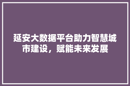延安大数据平台助力智慧城市建设，赋能未来发展  第1张