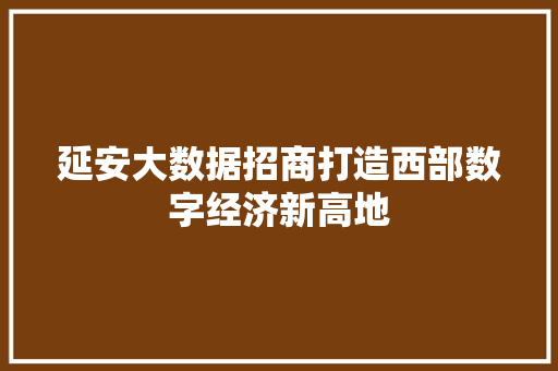 延安大数据招商打造西部数字经济新高地  第1张