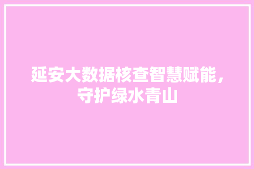 延安大数据核查智慧赋能，守护绿水青山  第1张