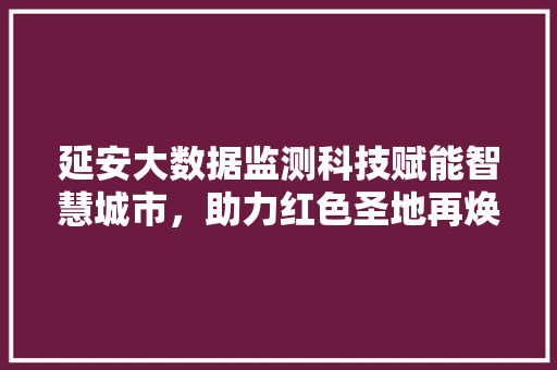 延安大数据监测科技赋能智慧城市，助力红色圣地再焕新生  第1张
