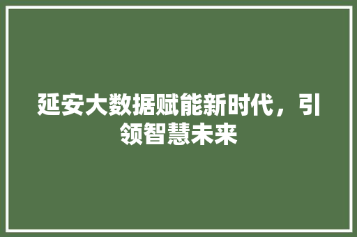 延安大数据赋能新时代，引领智慧未来