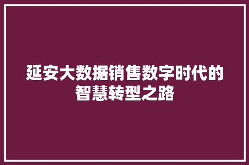 延安大数据销售数字时代的智慧转型之路