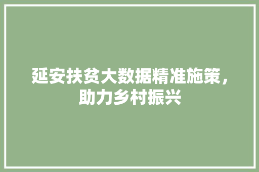 延安扶贫大数据精准施策，助力乡村振兴