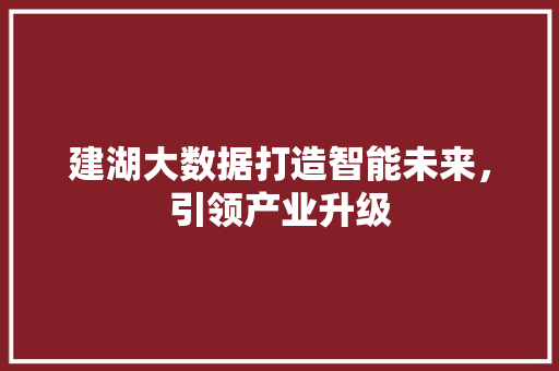 建湖大数据打造智能未来，引领产业升级
