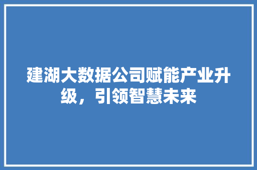 建湖大数据公司赋能产业升级，引领智慧未来  第1张