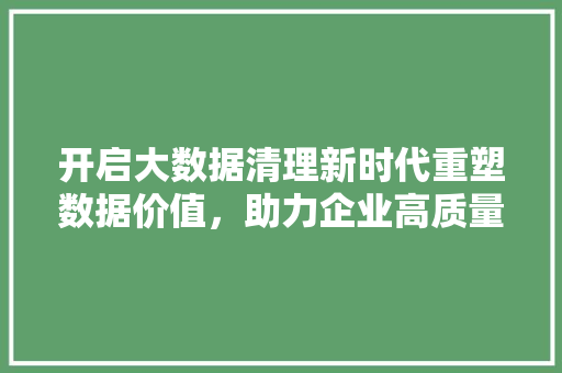 开启大数据清理新时代重塑数据价值，助力企业高质量发展