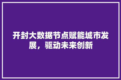 开封大数据节点赋能城市发展，驱动未来创新
