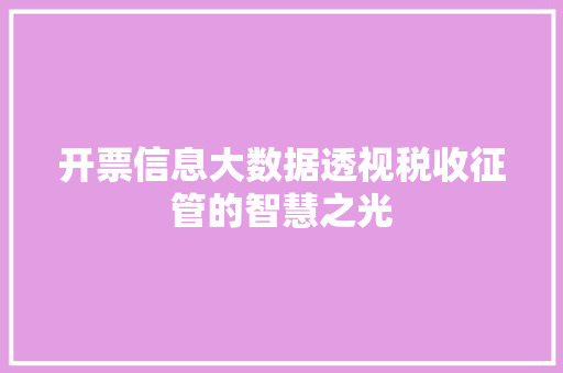 开票信息大数据透视税收征管的智慧之光