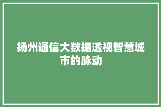 扬州通信大数据透视智慧城市的脉动
