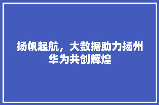 扬帆起航，大数据助力扬州华为共创辉煌