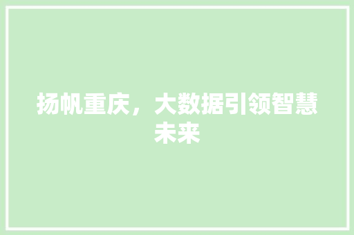 扬帆重庆，大数据引领智慧未来  第1张