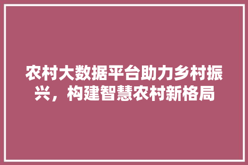 农村大数据平台助力乡村振兴，构建智慧农村新格局  第1张