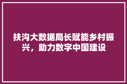 扶沟大数据局长赋能乡村振兴，助力数字中国建设