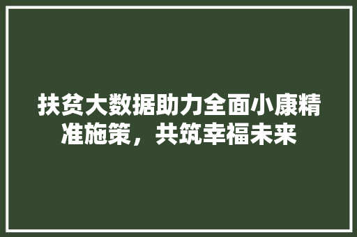 扶贫大数据助力全面小康精准施策，共筑幸福未来  第1张