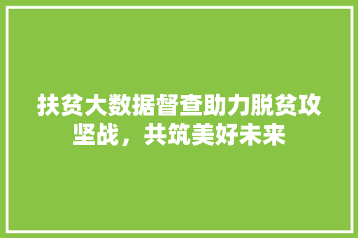 扶贫大数据督查助力脱贫攻坚战，共筑美好未来