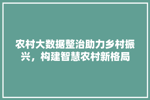 农村大数据整治助力乡村振兴，构建智慧农村新格局  第1张