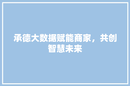 承德大数据赋能商家，共创智慧未来  第1张