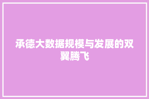 承德大数据规模与发展的双翼腾飞