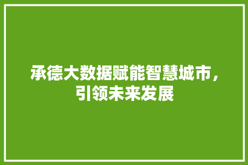 承德大数据赋能智慧城市，引领未来发展  第1张
