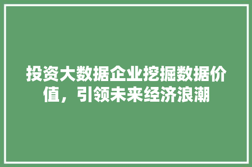 投资大数据企业挖掘数据价值，引领未来经济浪潮  第1张
