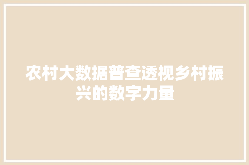 农村大数据普查透视乡村振兴的数字力量  第1张